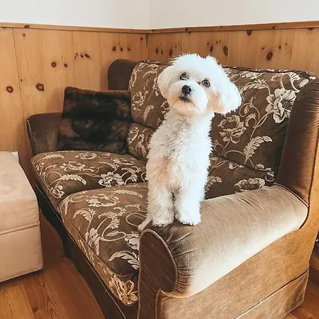 Perla A Cortina Appartement *