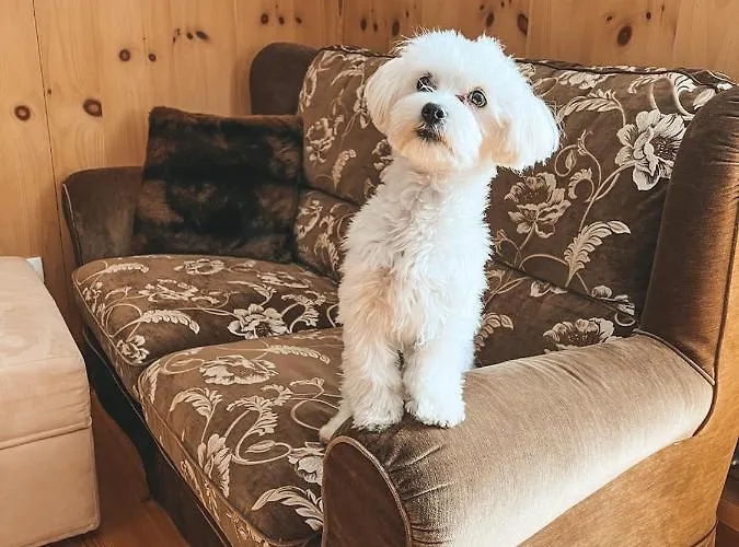 Perla A Cortina Διαμέρισμα *